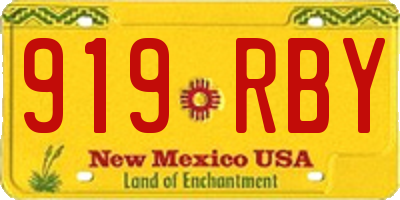 NM license plate 919RBY