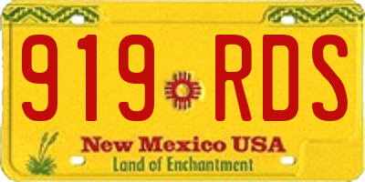 NM license plate 919RDS