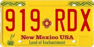 NM license plate 919RDX