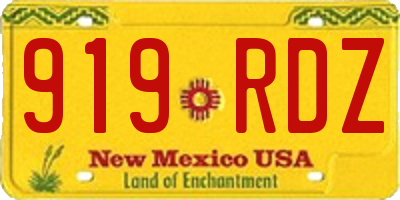NM license plate 919RDZ