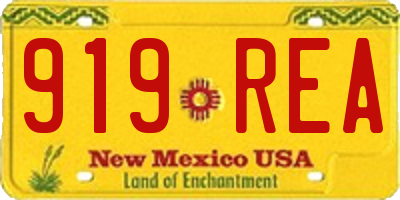 NM license plate 919REA