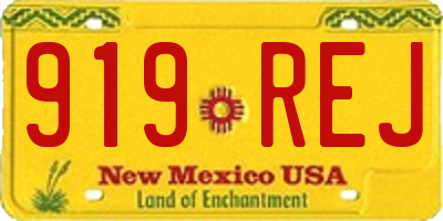 NM license plate 919REJ