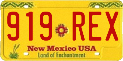 NM license plate 919REX