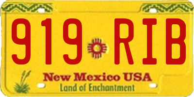 NM license plate 919RIB
