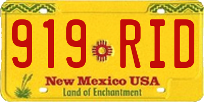 NM license plate 919RID