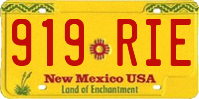 NM license plate 919RIE