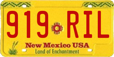 NM license plate 919RIL