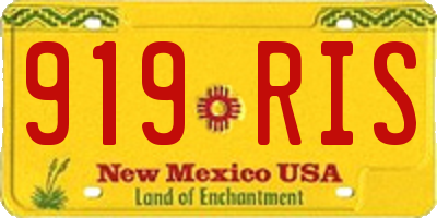 NM license plate 919RIS