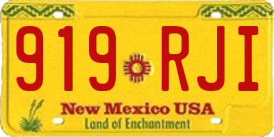 NM license plate 919RJI