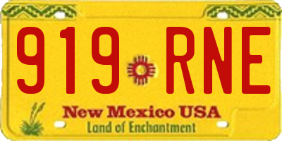NM license plate 919RNE