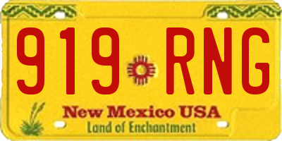 NM license plate 919RNG