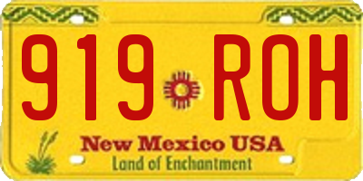 NM license plate 919ROH