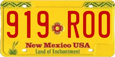 NM license plate 919ROO