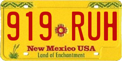 NM license plate 919RUH