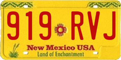 NM license plate 919RVJ