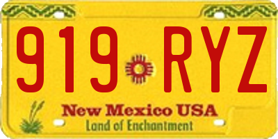 NM license plate 919RYZ