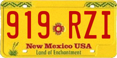 NM license plate 919RZI
