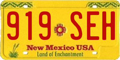 NM license plate 919SEH
