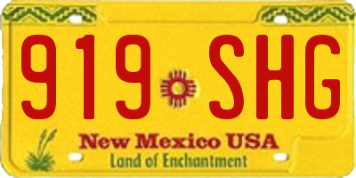 NM license plate 919SHG