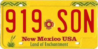 NM license plate 919SON
