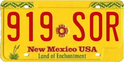 NM license plate 919SOR