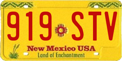 NM license plate 919STV