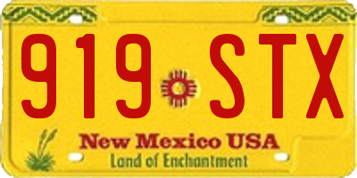 NM license plate 919STX
