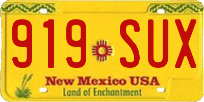 NM license plate 919SUX
