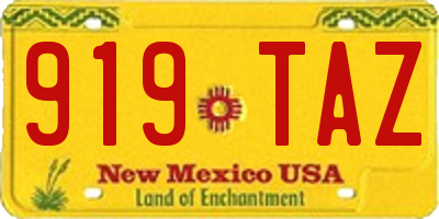 NM license plate 919TAZ