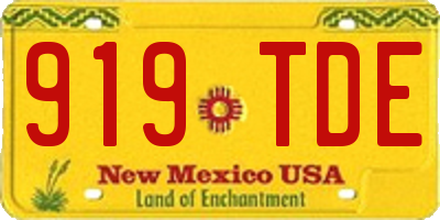 NM license plate 919TDE