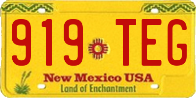 NM license plate 919TEG