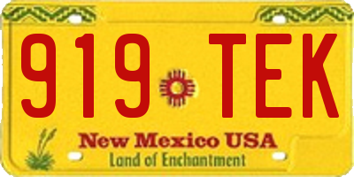 NM license plate 919TEK