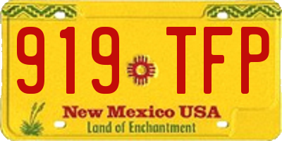 NM license plate 919TFP