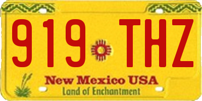 NM license plate 919THZ