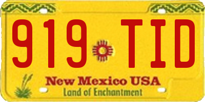 NM license plate 919TID