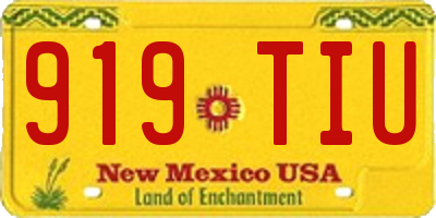NM license plate 919TIU