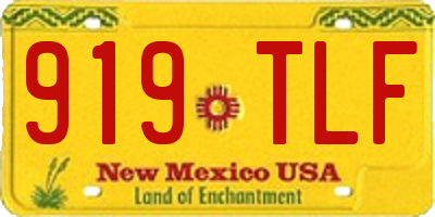 NM license plate 919TLF