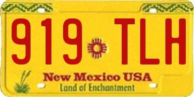 NM license plate 919TLH