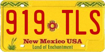 NM license plate 919TLS