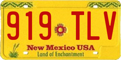 NM license plate 919TLV