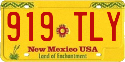 NM license plate 919TLY