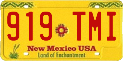 NM license plate 919TMI