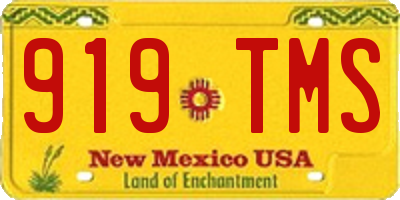 NM license plate 919TMS