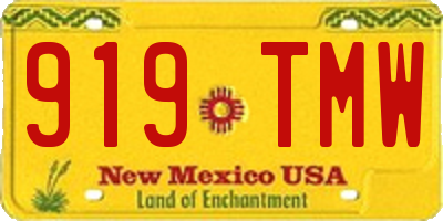 NM license plate 919TMW