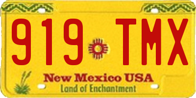 NM license plate 919TMX