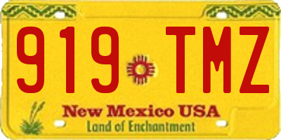 NM license plate 919TMZ