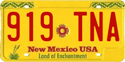 NM license plate 919TNA