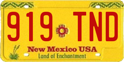 NM license plate 919TND