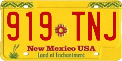 NM license plate 919TNJ