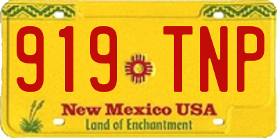 NM license plate 919TNP